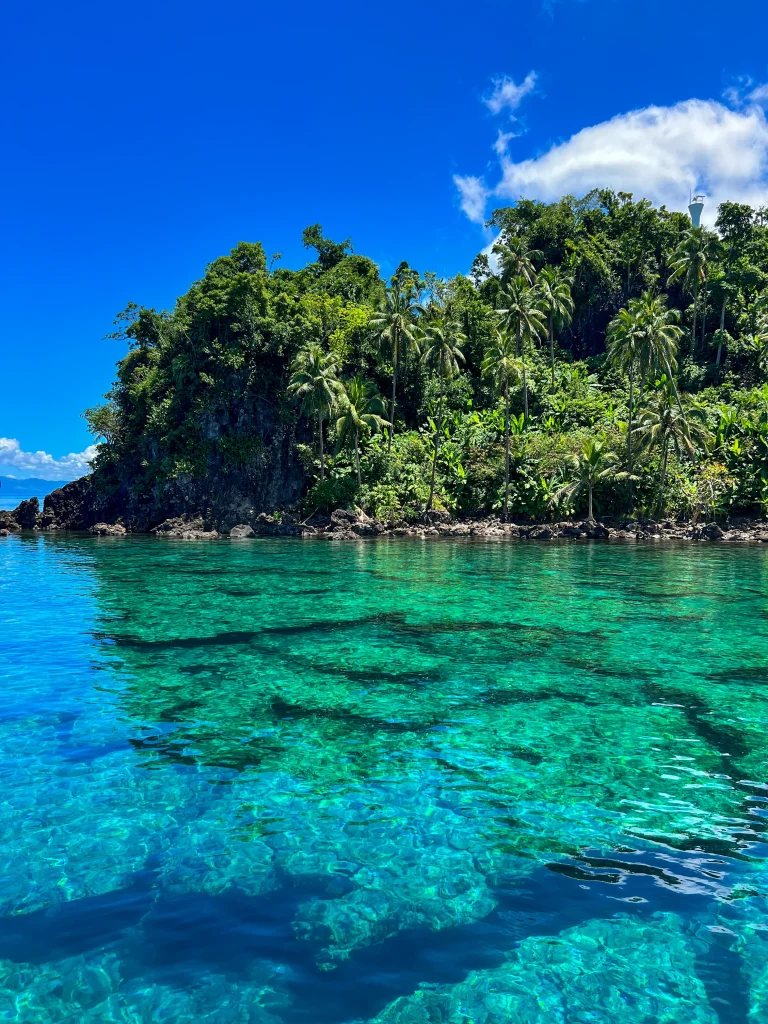 Sogod Bay aux Philippines